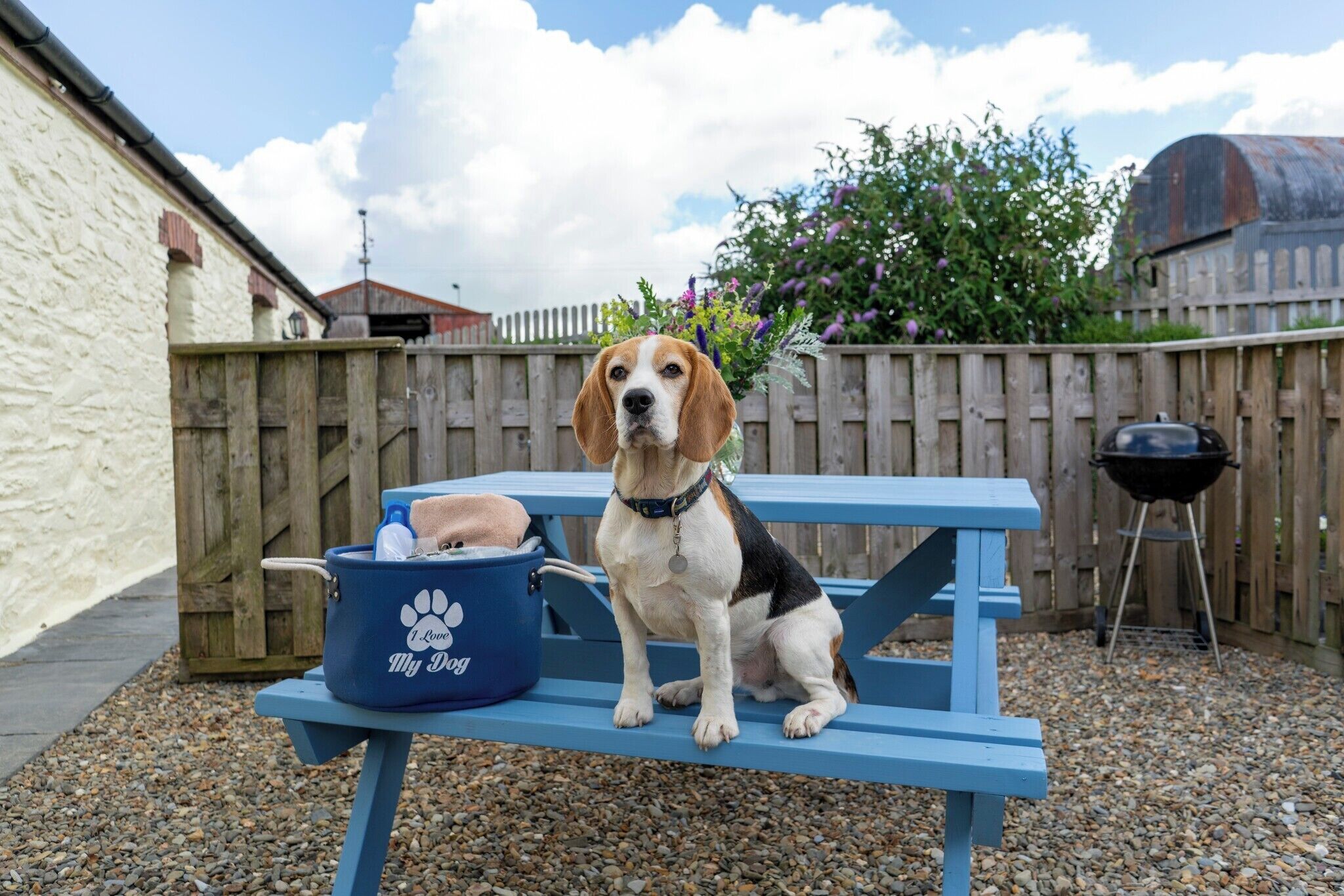 Parco della struttura