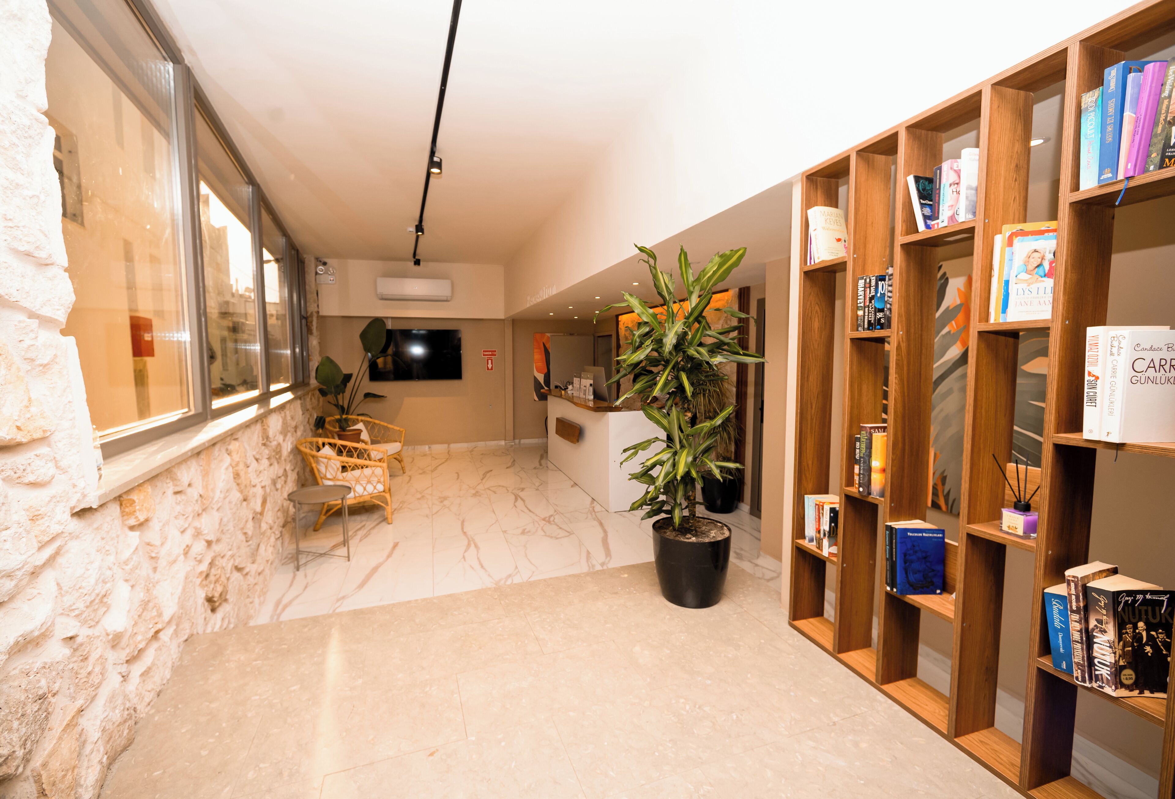 Un interior moderno con una pared de piedra, una estantería de madera, una planta en maceta y un televisor de pantalla plana montado en la pared.