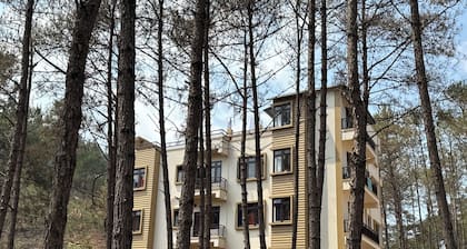 XTSY Travellers Hostel