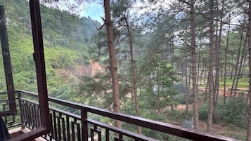 Deluxe Shared Dormitory, Mixed Dorm, Balcony | Balcony view