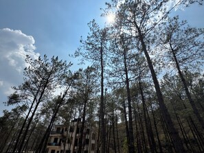 Exterior - XTSY Travellers Hostel (Shillong)
