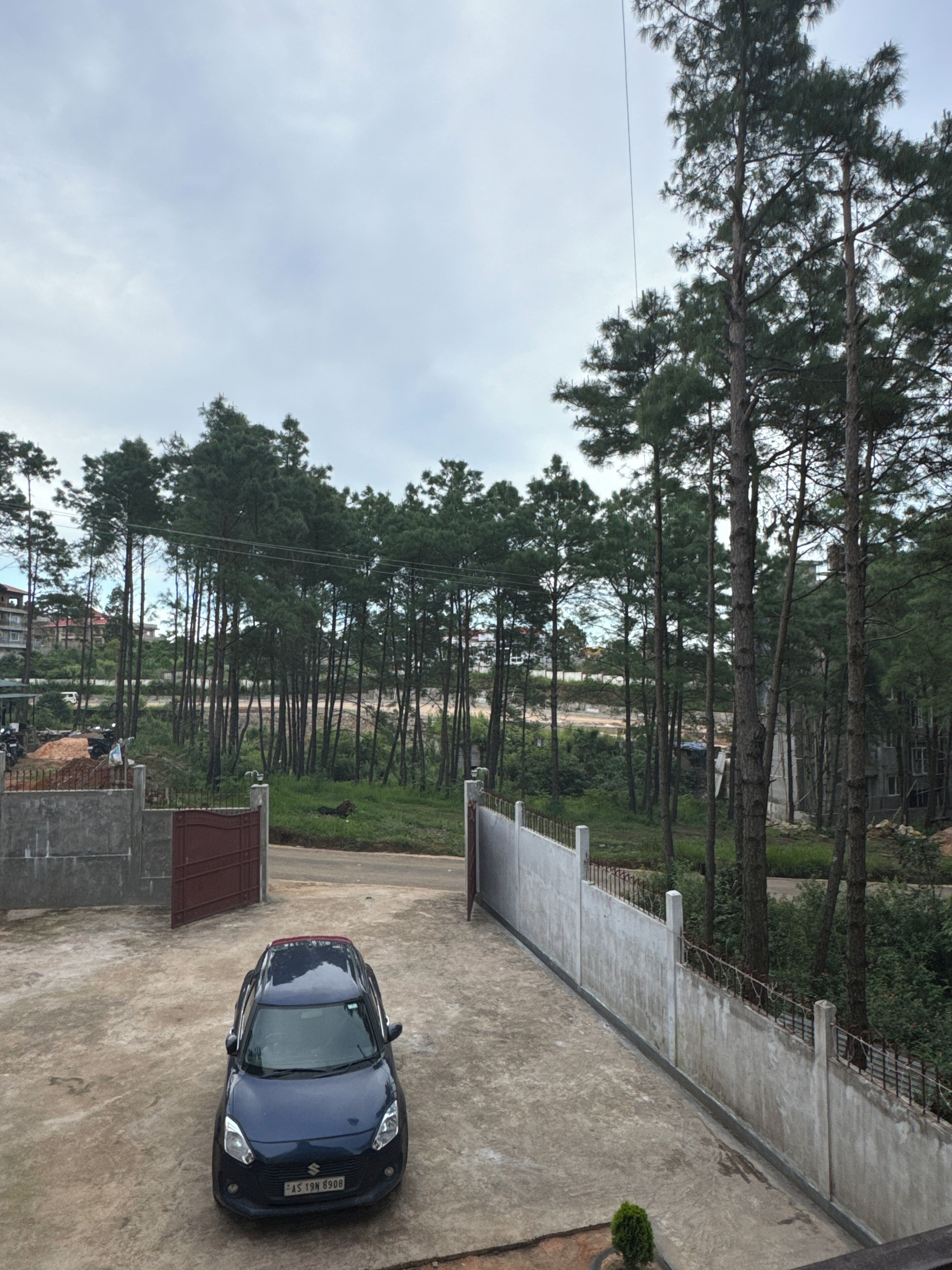 Free self-parking