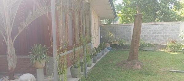 A residential property with a brick exterior, a small lawn, and several potted plants.