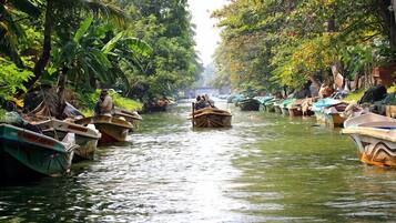 A narrow waterway lined with boats and dense foliage.