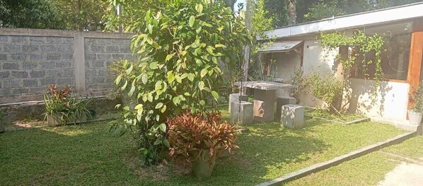A residential backyard with a lawn, a potted plant, a concrete table, and a stone wall.