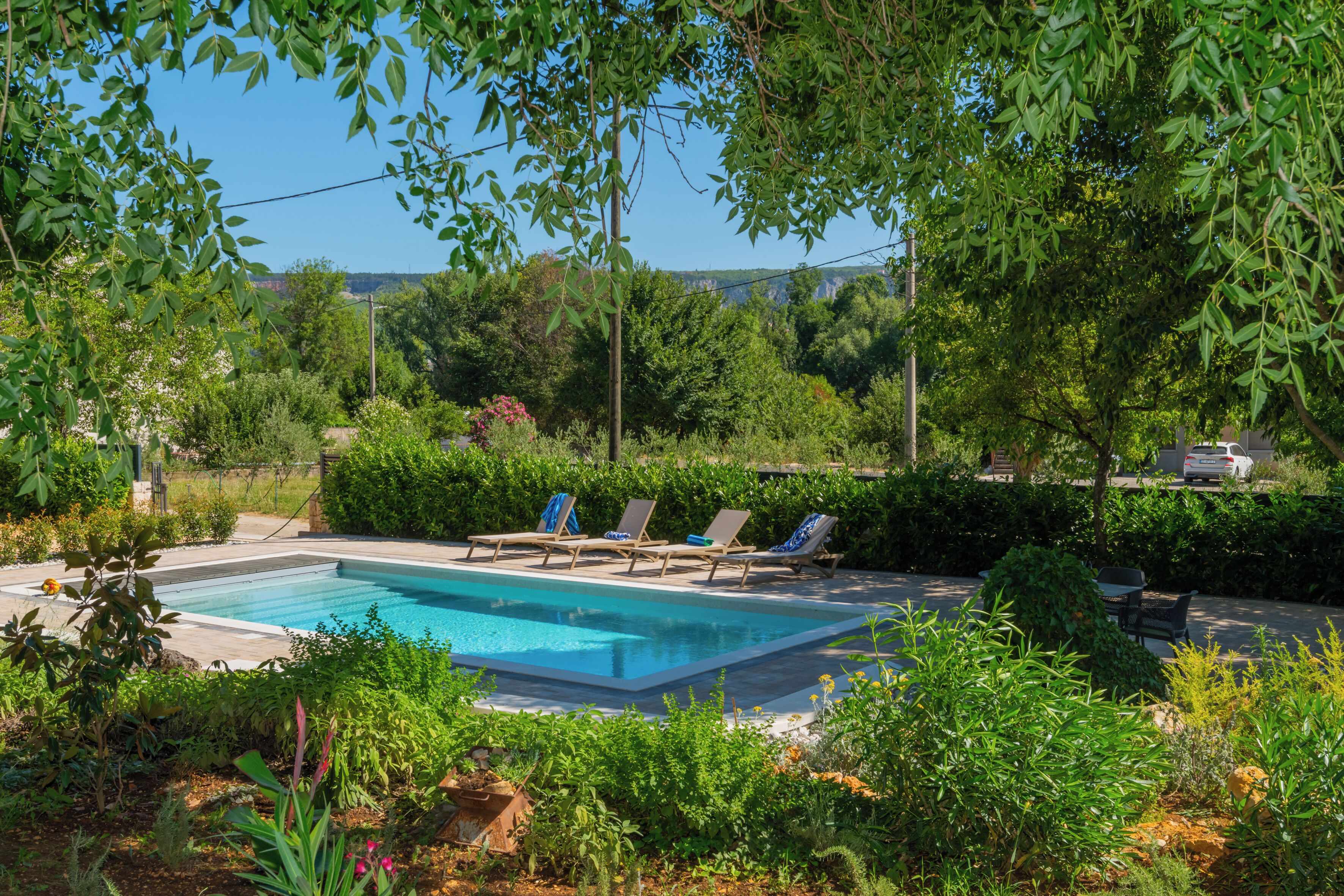 A swimming pool surrounded by lush greenery, with lounge chairs and a bench.