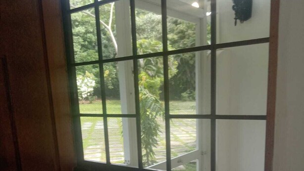 A view through a barred window with a view of a garden and a street outside.