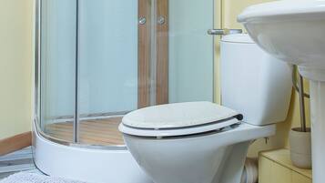 Shower, hair dryer, towels, toilet paper