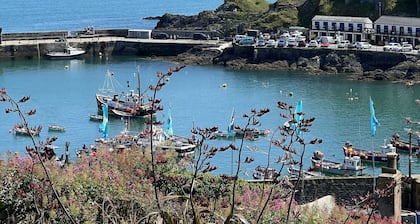 Wonderful private villa for 9 people with TV and pets allowed