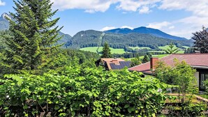 A vineyard with a house in the foreground and mountains in the background. - Beautiful apartment for 3 guests with A/C, WIFI, TV and balcony (Strobl)