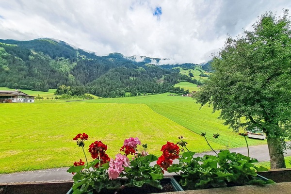 Grün, Bergforms, Hügel, Landschaft, Berg, Hochland, Ländliches Gebiet, Haus, Wiese