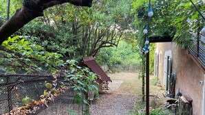 Un giardino con una struttura in legno, un recinto in filo metallico e un vialetto sterrato.