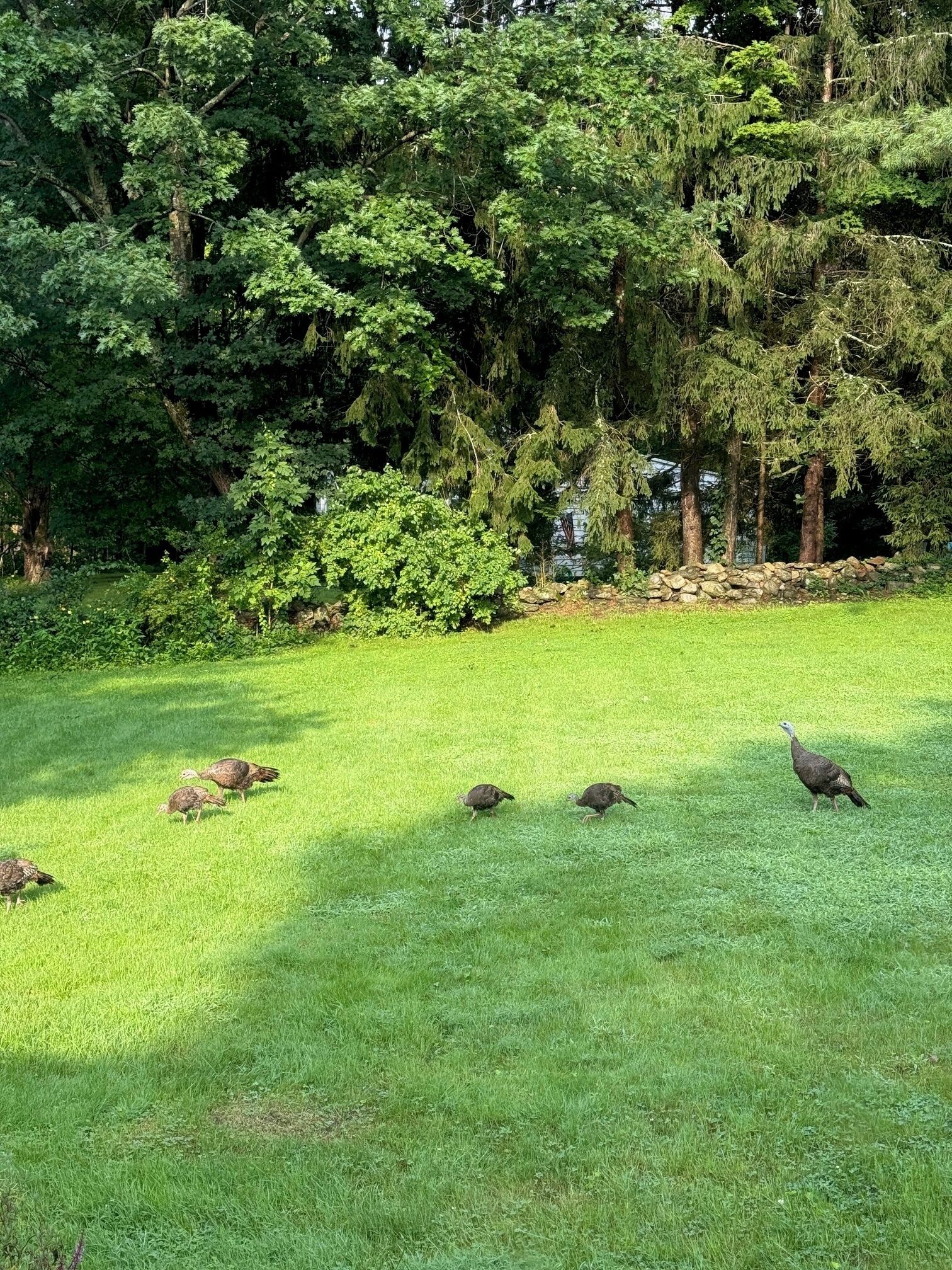 Nature all up in here!
