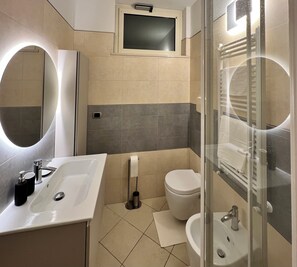 Shower, hair dryer, bidet, towels
