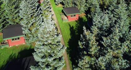 2 Person Holiday Park Home in Graested