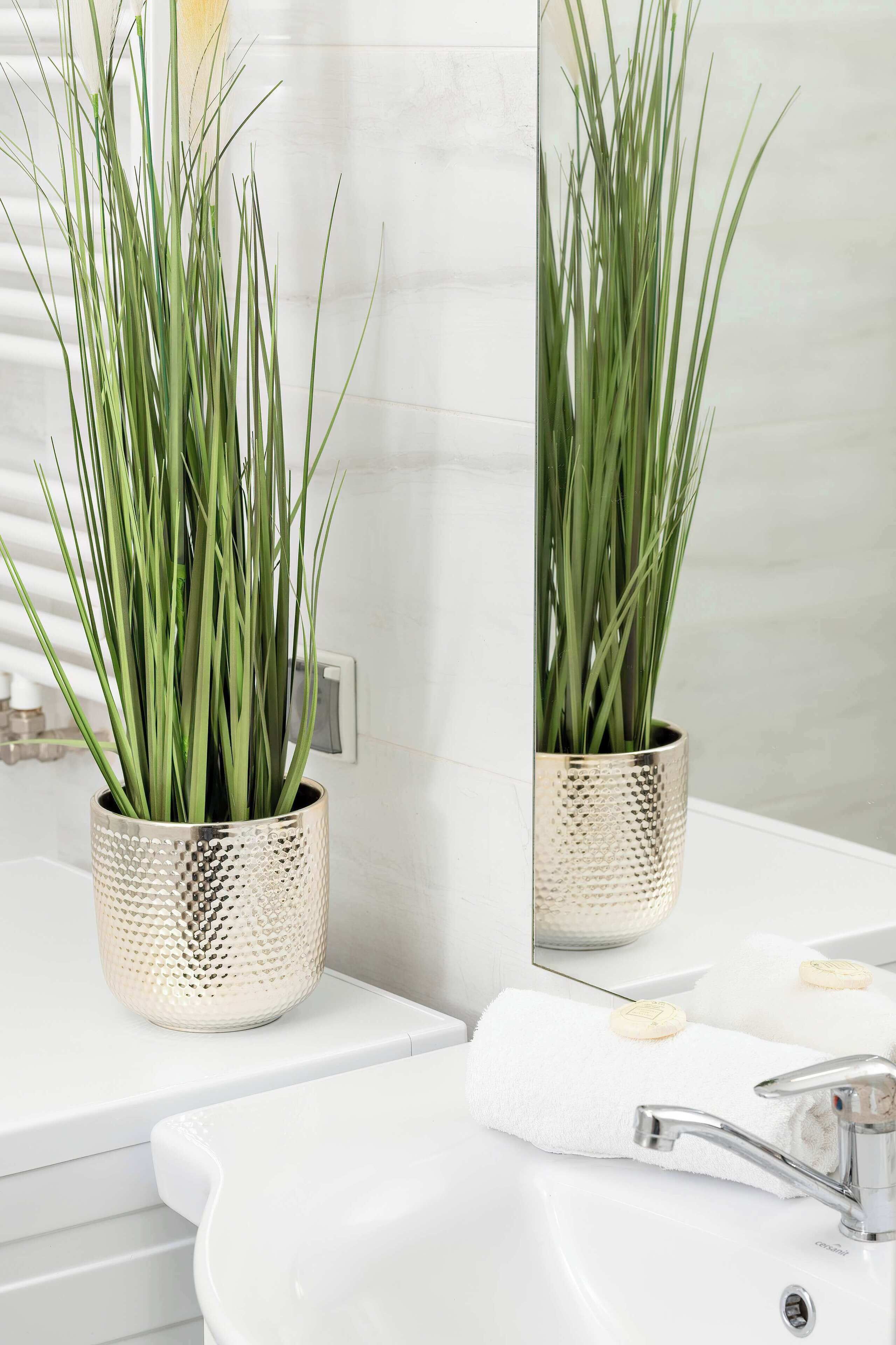 A bathroom with a white sink, a mirror, and two potted plants with green foliage.