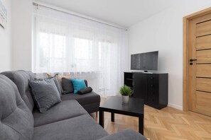 Fernseher, Arbeitsbereiche