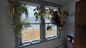 Una ventana con varias plantas colgantes, una valla de madera en el exterior y una pequeña mesa con una planta en maceta a la derecha.