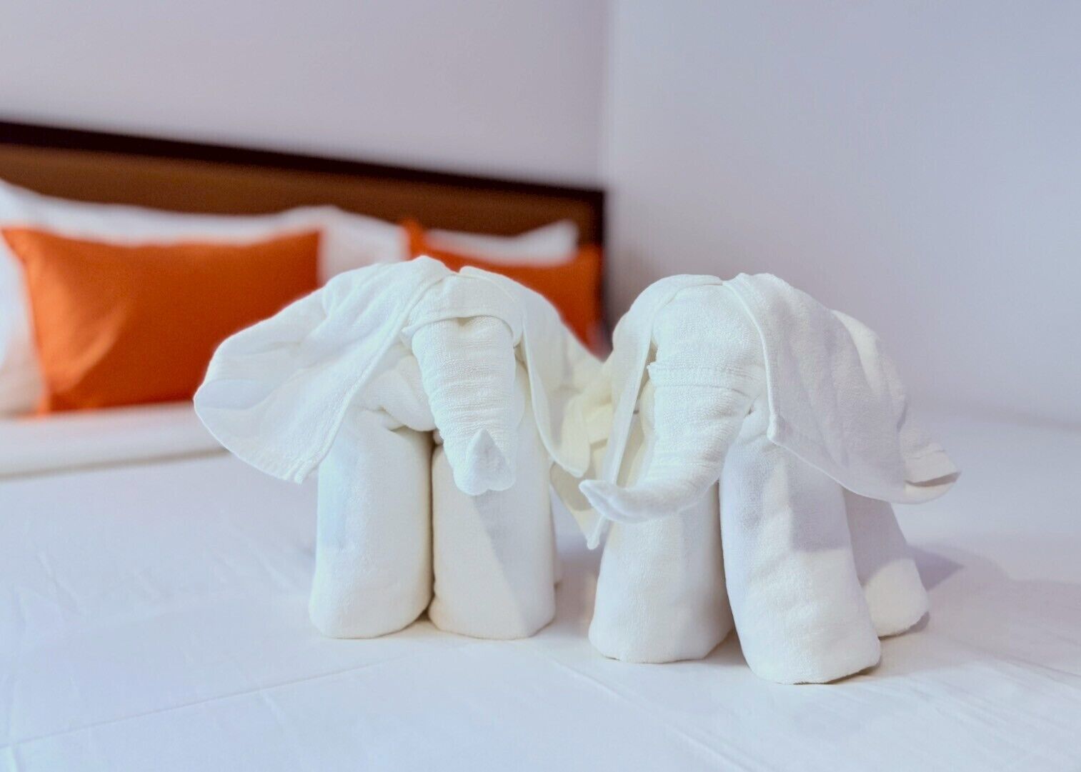 A bed with white bedding and orange pillows.