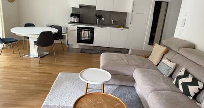 I offer my apartment fully furnished and equipped.