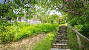 Un escalier en pierre menant à une pente herbeuse, entouré d’une végétation luxuriante et d’une clôture en bois.
