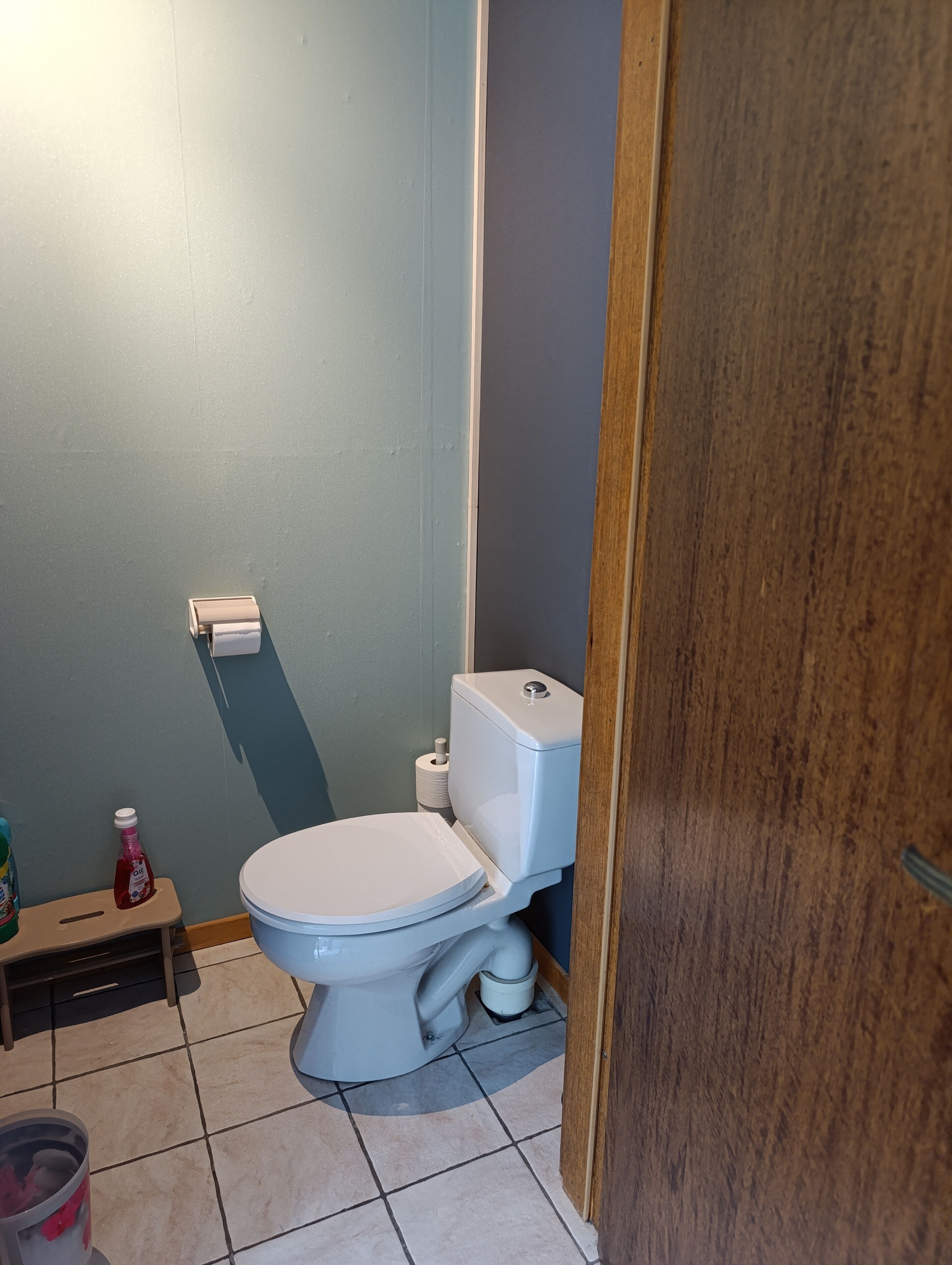 A small bathroom with a toilet, a small shelf with cleaning supplies, and a toilet paper holder on the wall.