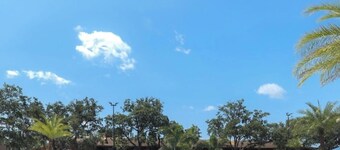 เวสต์เกต พาเลซ