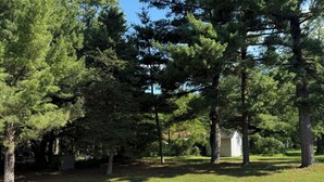 A well-maintained grassy area with mature trees and flowering shrubs.