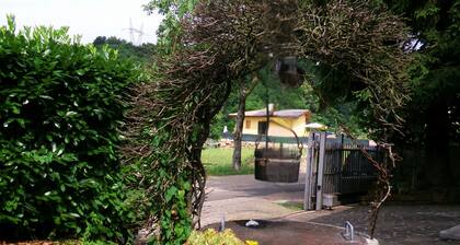 Surrounded by nature, Casa al Pino is ready to welcome you!