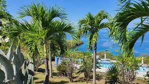 Property grounds - Sea view studio (Bouillante)