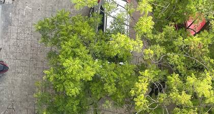 3-bedroom apartment with WiFi, AC in Banjarahills near Care Hospital city centre