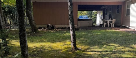 A residential property with a covered garage, a lawn, and a tree-lined driveway.