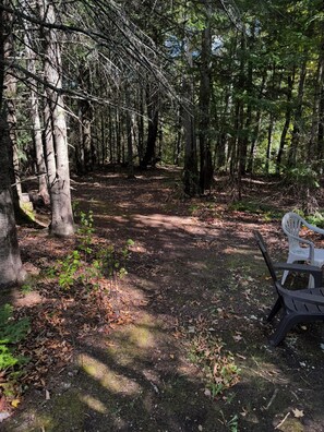 Une zone boisée avec un sentier de terre qui traverse les arbres. On y trouve une chaise en plastique blanche et une chaise en plastique noire sur le côté droit du sentier.