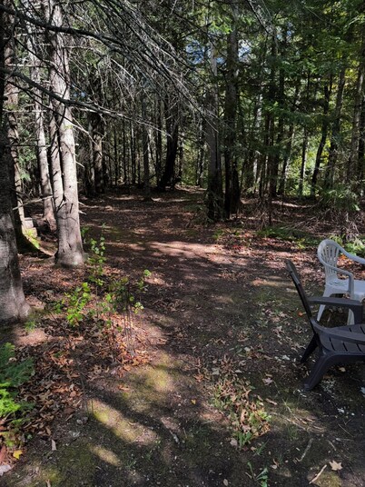 Charming 4-bedroom house with WiFi, AC in peaceful White Pine