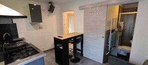 Microwave, stovetop - Peaceful studio (Saint-Cyprien)