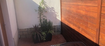 Studio le ginkgo