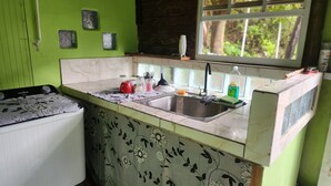 Une cuisine équipée d’un évier, d’une fenêtre donnant sur un espace verdoyant et d’un mur végétal agrémenté d’assiettes décoratives.