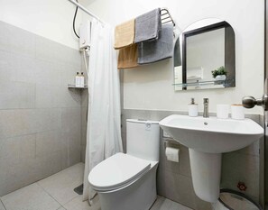 Shower, hair dryer, bidet, towels