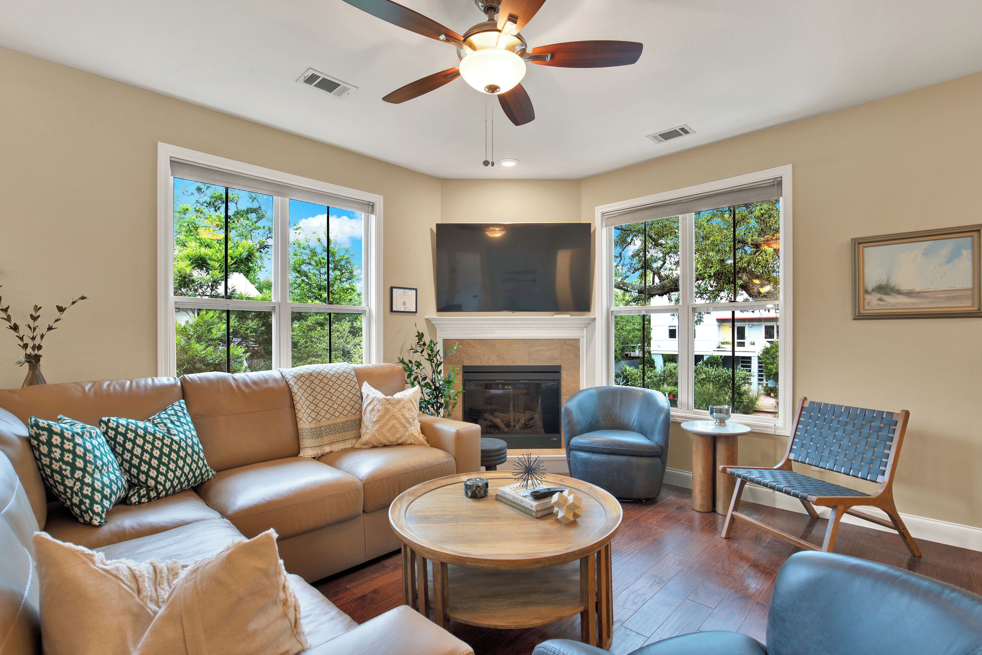 Smart TV, fireplace, books