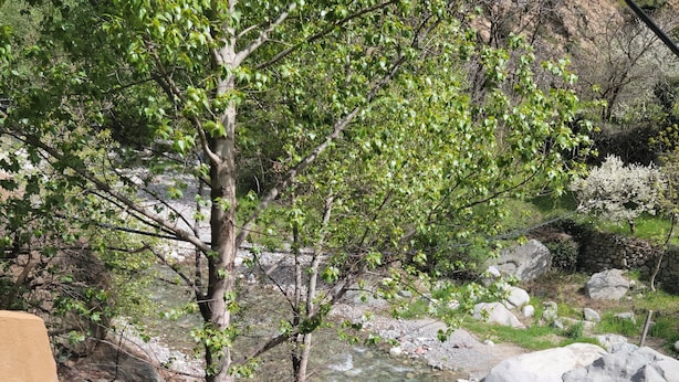 A stone pathway leading to a bridge over a clear stream, surrounded by greenery and rocks. - ATLAS OURIKA HOME (Sti Fadma)