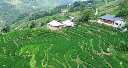 Bees Homestay Sapa & Trekking