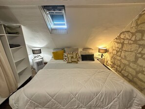 1 bedroom, iron/ironing board, WiFi, bed sheets - Small house with private garden (Savigny-en-Véron)