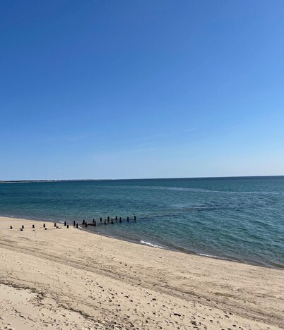 Fabulous Fall Find. Book Sept now!! —Beautiful breezy beach getaway in N. Truro