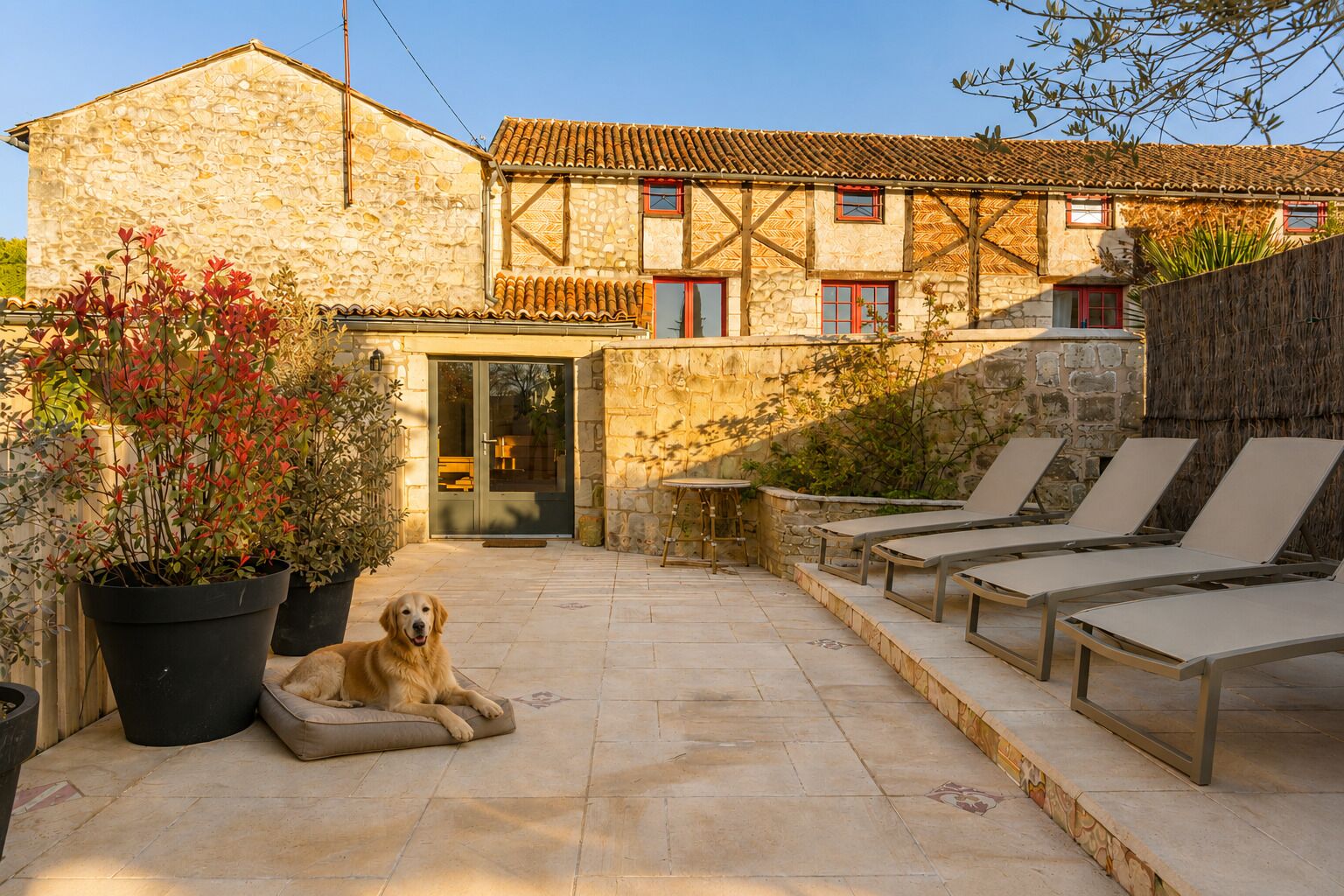 Terrasse/Patio