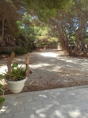 Overnattingsstedets uteområder