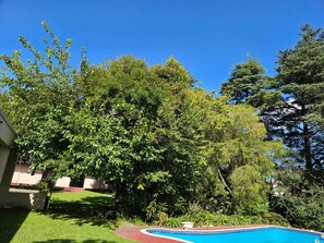 Pool - 3-bedroom apartment in peaceful Sandton with WiFi, AC (Sandton)