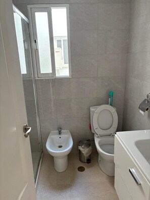 Shower, hair dryer, bidet, towels