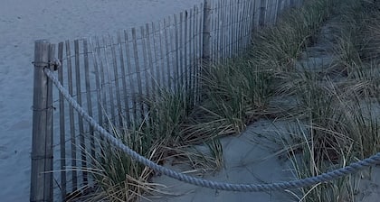 Our Shorebird Way-Brand New Family-Friendly, 4 bedroom Home by the Shore