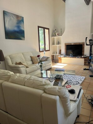 智能电视、壁炉、书、电脑显示器