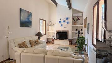 TV connectée, cheminée, livres, écrans d'ordinateur